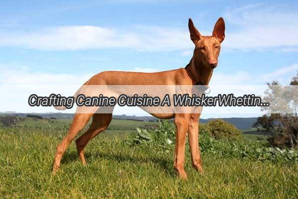 Crafting Canine Cuisine A WhiskerWhetting Guide to Homemade Dog Food